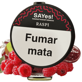 SAYes! Raspi