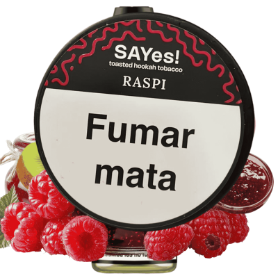 SAYes! Raspi 100G Ud